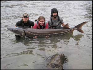 Palouse Unit members Marika Dobos, Lizzie Josie, and Arturo Rosales show off their catch during sturgeon sampling on the Snake River.